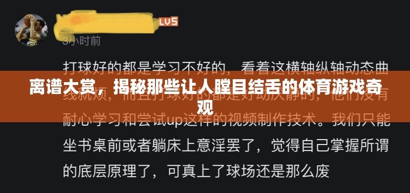 揭秘離譜大賞，體育游戲中的瞠目結(jié)舌奇觀