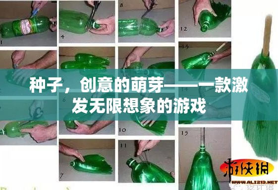 創(chuàng)意的種子，一款激發(fā)無限想象的游戲