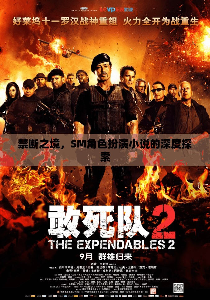 禁斷之境，深度探索SM角色扮演小說的奧秘