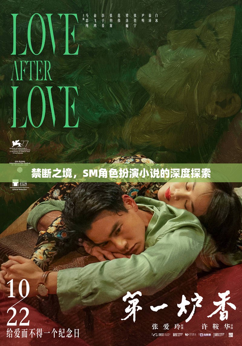 禁斷之境，SM角色扮演小說的深度探索