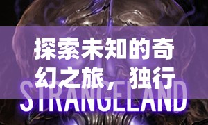 獨(dú)行者的暗影之境，探索未知的奇幻3D角色扮演游戲之旅