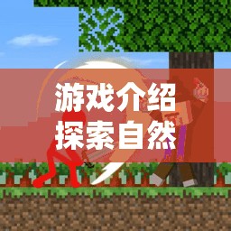 穿越小樹(shù)林的奇妙體育之旅，探索自然之趣的冒險(xiǎn)游戲