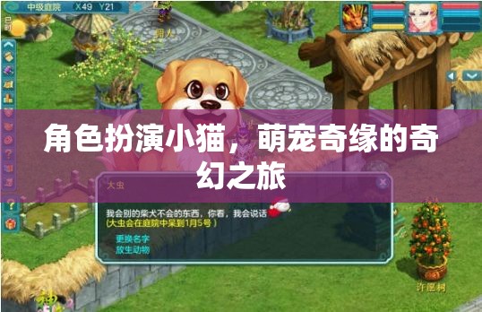 喵趣橫生，小貓的萌寵奇緣奇幻之旅