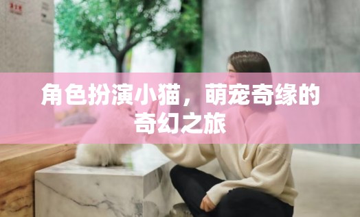 喵趣橫生，小貓的萌寵奇緣奇幻之旅