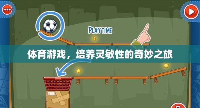 體育游戲，培養(yǎng)靈敏性的奇妙之旅