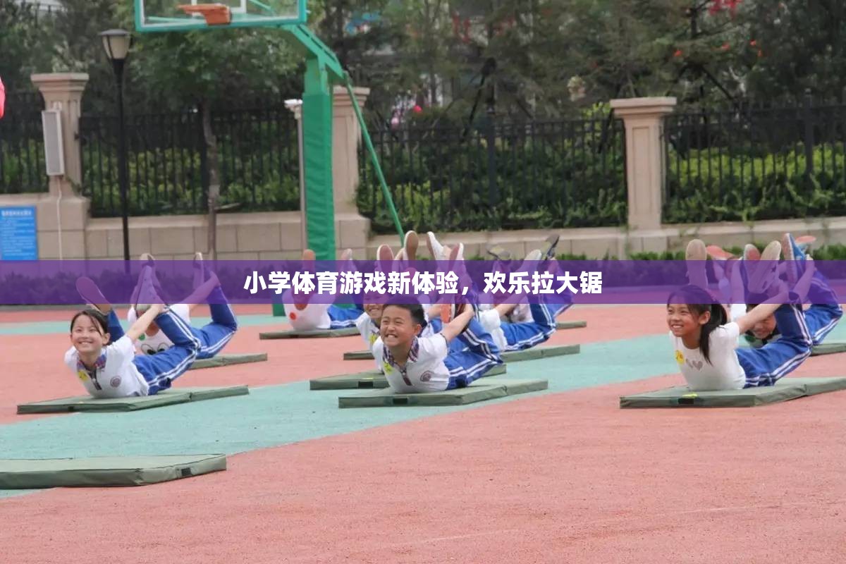 小學(xué)體育新體驗(yàn)，歡樂拉大鋸的樂趣探索