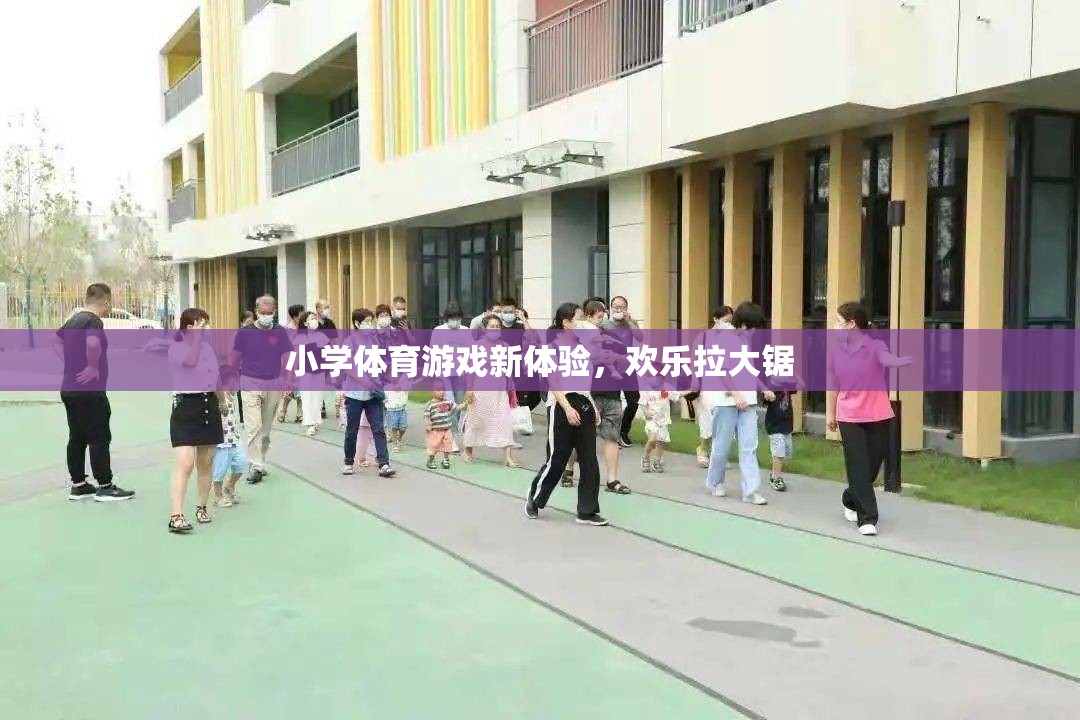 小學(xué)體育新體驗(yàn)，歡樂拉大鋸的樂趣探索