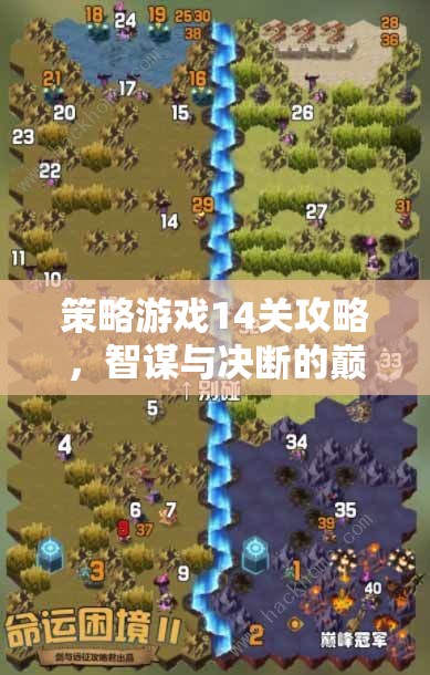 智謀與決斷的巔峰對決，策略游戲第14關(guān)攻略指南