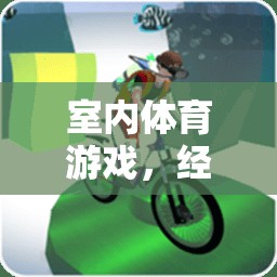 室內(nèi)體育游戲，經(jīng)驗分享與樂趣探索