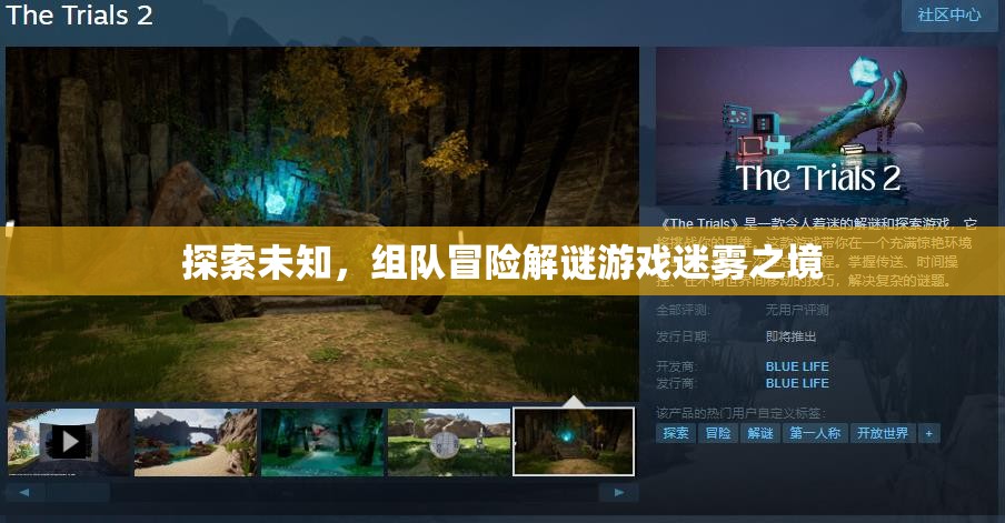 迷霧之境，組隊冒險解謎的未知探索