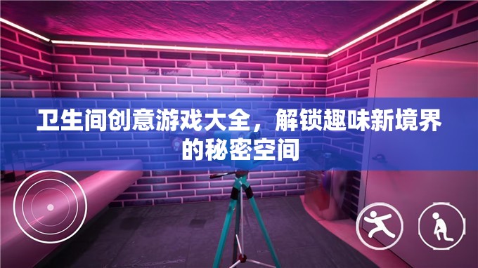 衛(wèi)生間創(chuàng)意游戲大全，解鎖趣味新境界的秘密空間