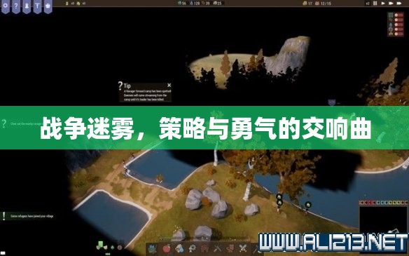 戰(zhàn)爭迷霧，策略與勇氣的交響曲