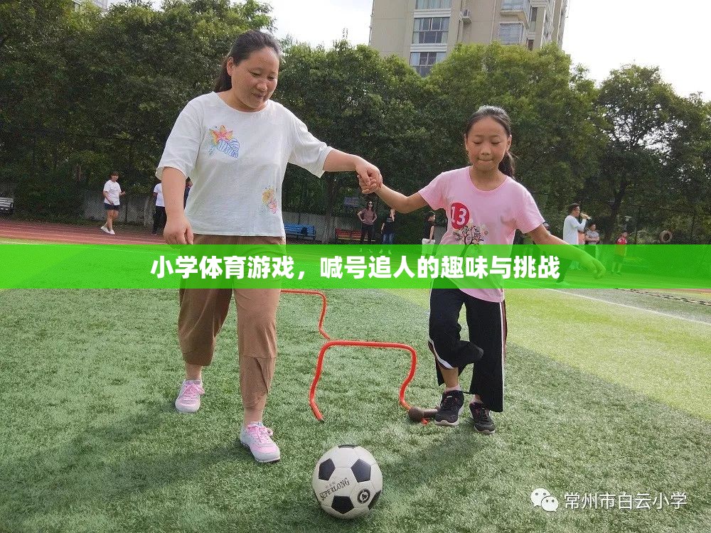 喊號(hào)追人，小學(xué)體育游戲的趣味與挑戰(zhàn)