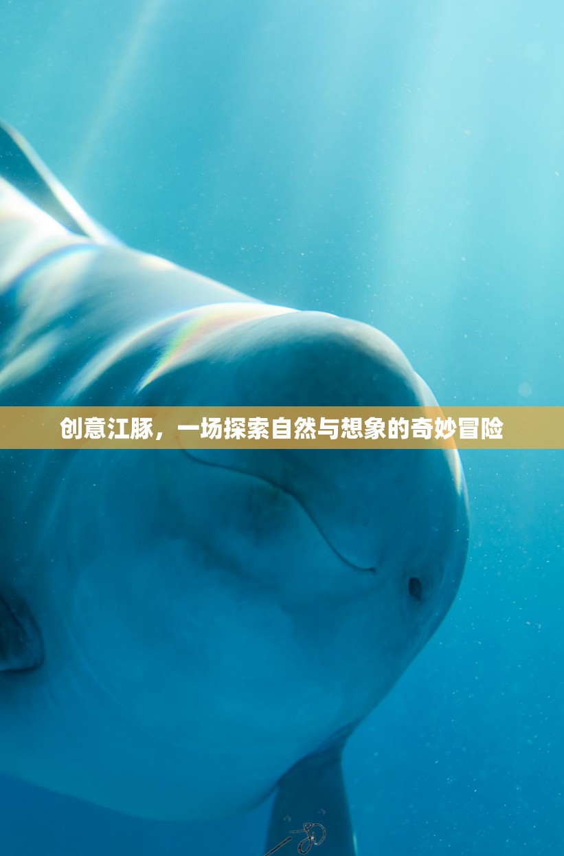 創(chuàng)意江豚，自然與想象的奇妙冒險之旅