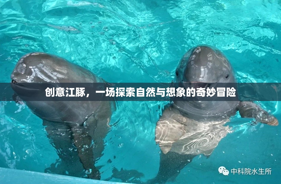 創(chuàng)意江豚，自然與想象的奇妙冒險之旅