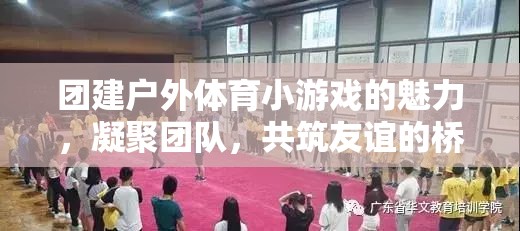 戶外體育小游戲，凝聚團隊，共筑友誼的橋梁