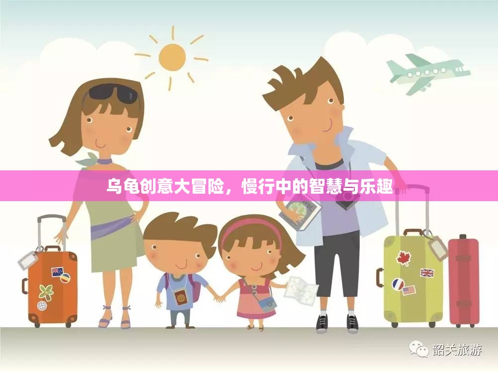 烏龜創(chuàng)意大冒險，慢行中的智慧與樂趣之旅