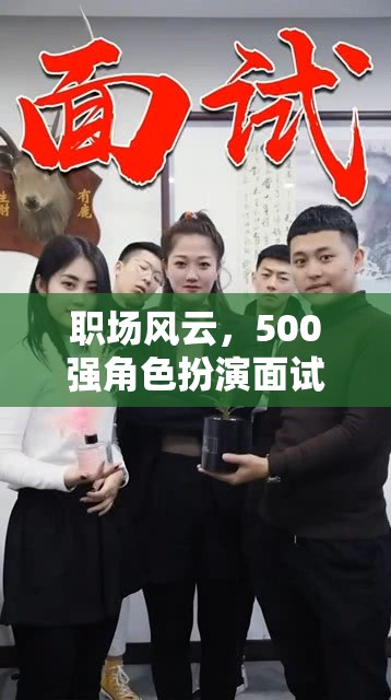 職場(chǎng)風(fēng)云，500強(qiáng)角色扮演面試大冒險(xiǎn)