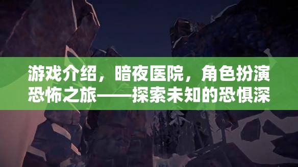 暗夜醫(yī)院，角色扮演的恐怖之旅，探索未知的恐懼深淵