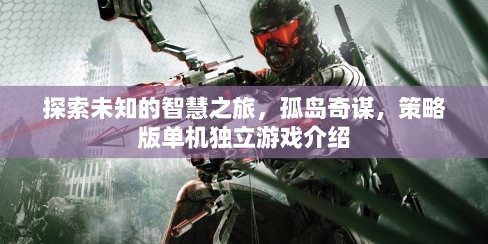 孤島奇謀，探索未知的智慧之旅——一款策略版單機(jī)獨立游戲