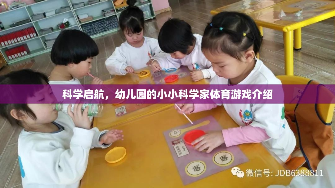 科學(xué)啟航，幼兒園小小科學(xué)家體育游戲探索