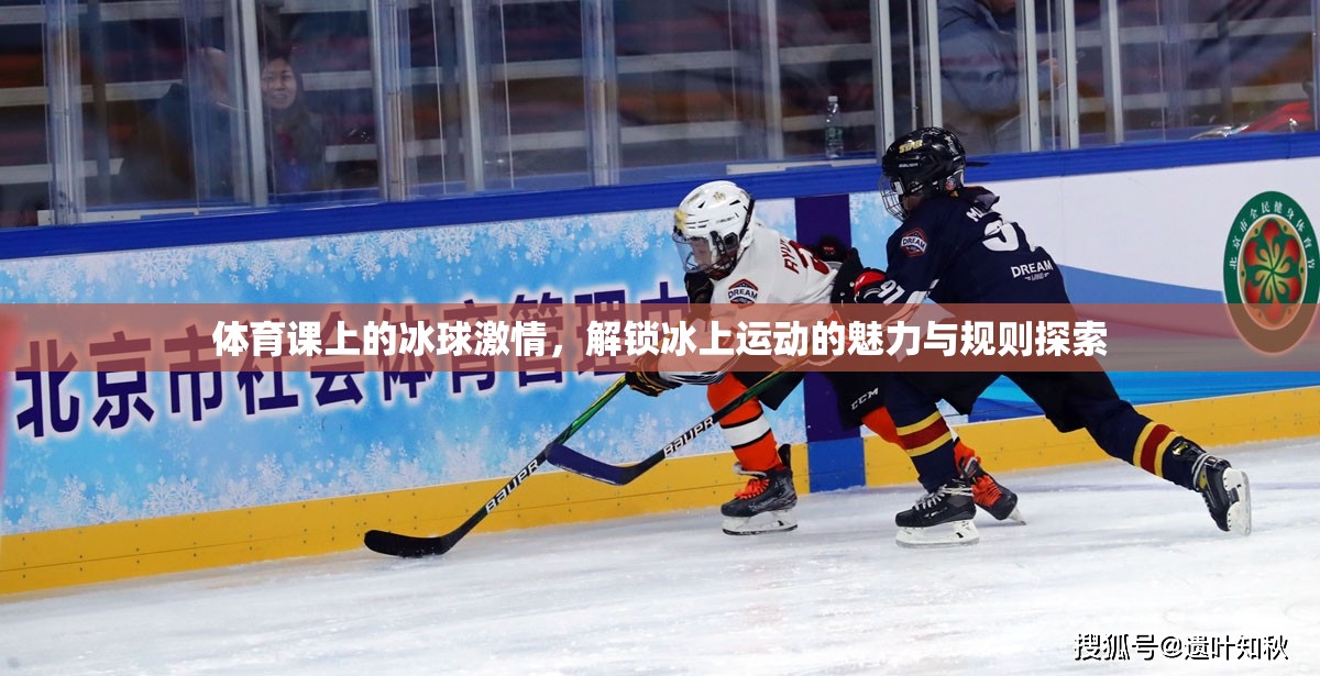 冰球激情，解鎖冰上運動的魅力與規(guī)則探索