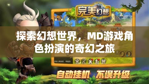 幻想世界的奇幻之旅，MD游戲角色扮演的探索