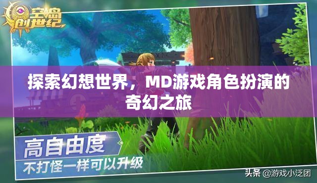 幻想世界的奇幻之旅，MD游戲角色扮演的探索