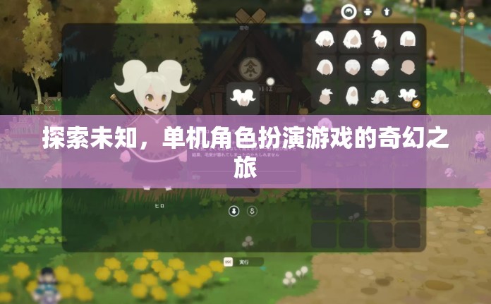探索未知，單機角色扮演游戲的奇幻冒險之旅