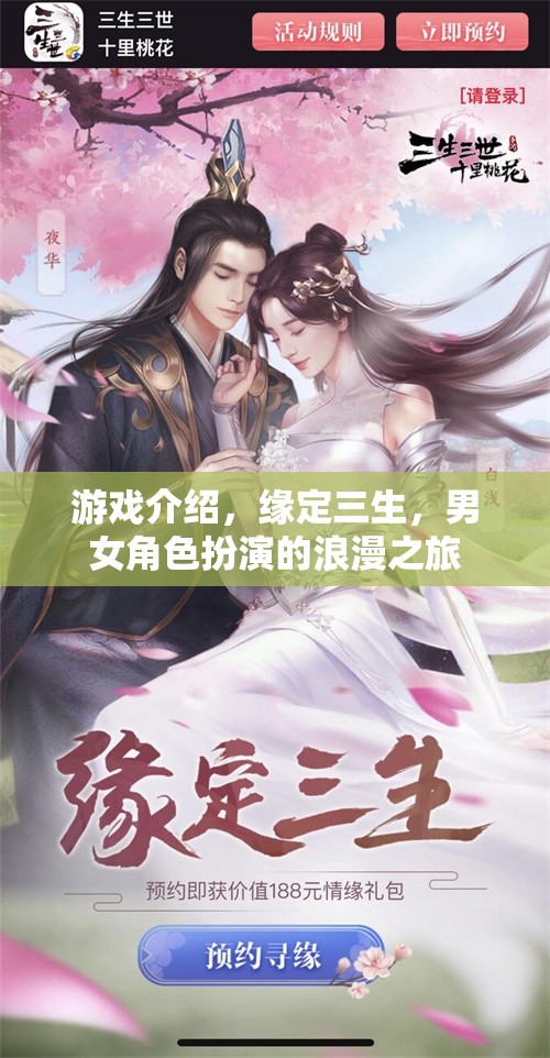 緣定三生，浪漫之旅的男女角色扮演游戲