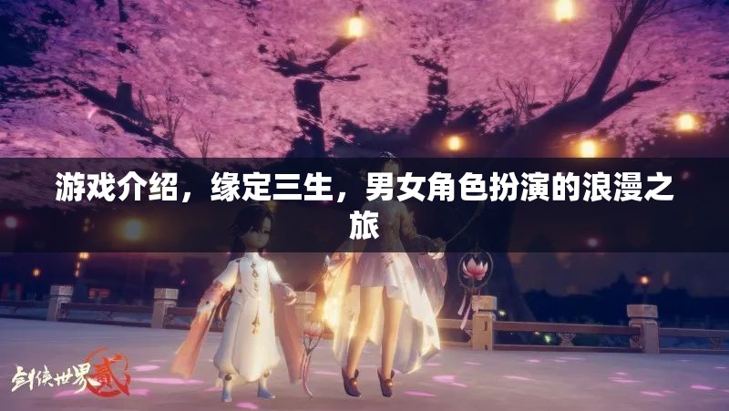 緣定三生，浪漫之旅的男女角色扮演游戲