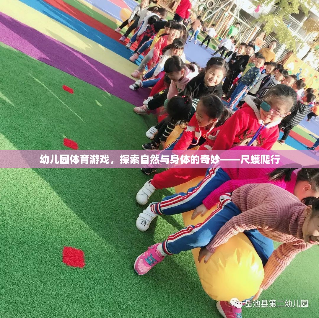 探索自然與身體的奇妙，幼兒園尺蠖爬行體育游戲