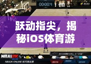 揭秘iOS體育游戲排行榜的璀璨之星，躍動指尖的魅力