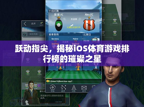 揭秘iOS體育游戲排行榜的璀璨之星，躍動指尖的魅力