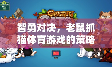 智勇對決，老鼠抓貓體育游戲中的策略與樂趣