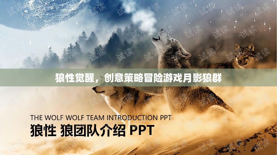月影狼群，狼性覺醒，創(chuàng)意策略冒險之旅