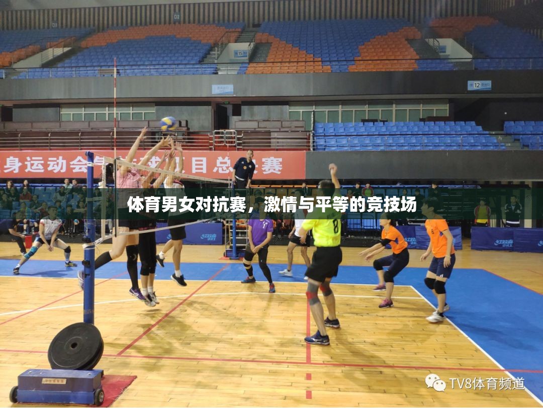 激情與平等的競(jìng)技場(chǎng)，體育男女對(duì)抗賽的碰撞與融合