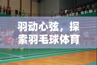 羽動(dòng)心弦，解鎖羽毛球體育游戲的無限魅力