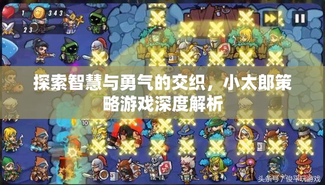 小太郎策略游戲，智慧與勇氣的深度交織