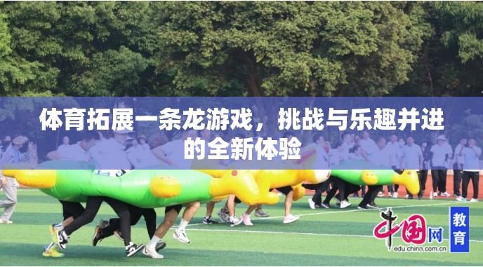 挑戰(zhàn)與樂趣并進(jìn)的體育拓展一條龍游戲，全新體驗等你來戰(zhàn)