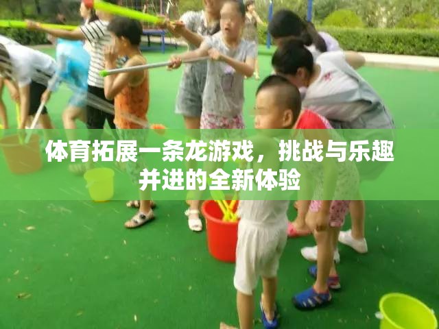 挑戰(zhàn)與樂趣并進(jìn)的體育拓展一條龍游戲，全新體驗等你來戰(zhàn)