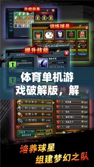 解鎖運(yùn)動(dòng)激情，體育單機(jī)游戲破解版數(shù)字鑰匙