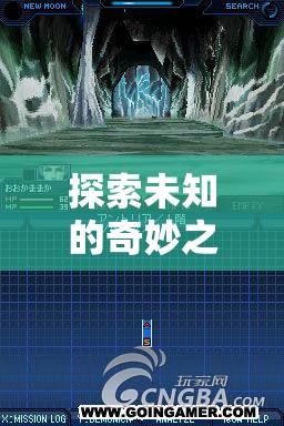 探索夢幻王國，NDS策略游戲的奇妙之旅深度解析
