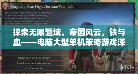 鐵與血，帝國風云——電腦大型單機策略游戲的深度探索與解析