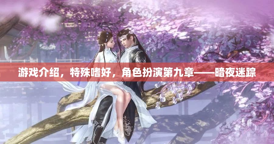 暗夜迷蹤，角色扮演的特殊嗜好與游戲介紹