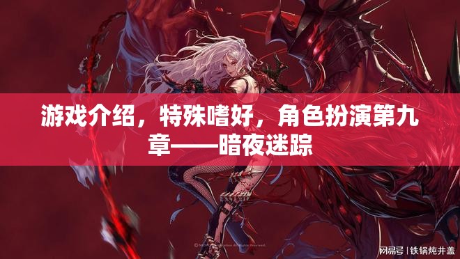 暗夜迷蹤，角色扮演的特殊嗜好與游戲介紹
