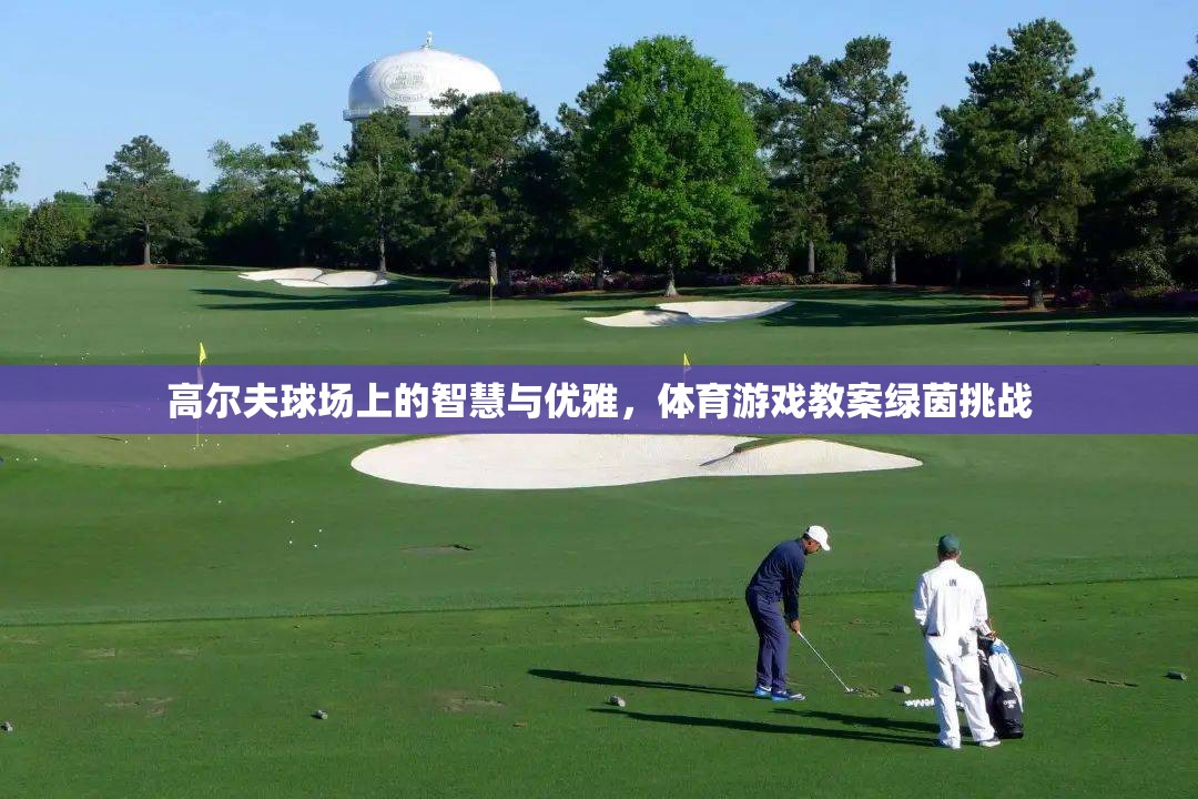 綠茵挑戰(zhàn)，高爾夫球場(chǎng)上的智慧與優(yōu)雅體育游戲教案
