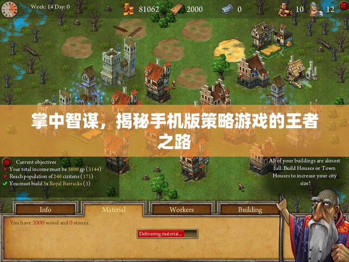 掌中智謀，揭秘手機(jī)版策略游戲的王者之路