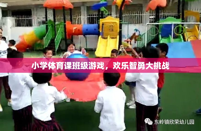 歡樂智勇大挑戰(zhàn)，小學(xué)體育課的班級游戲盛宴