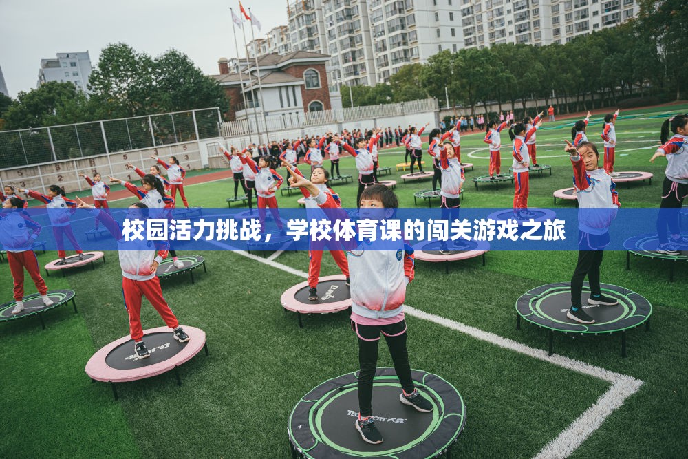 校園活力挑戰(zhàn)，學(xué)校體育課的闖關(guān)游戲之旅